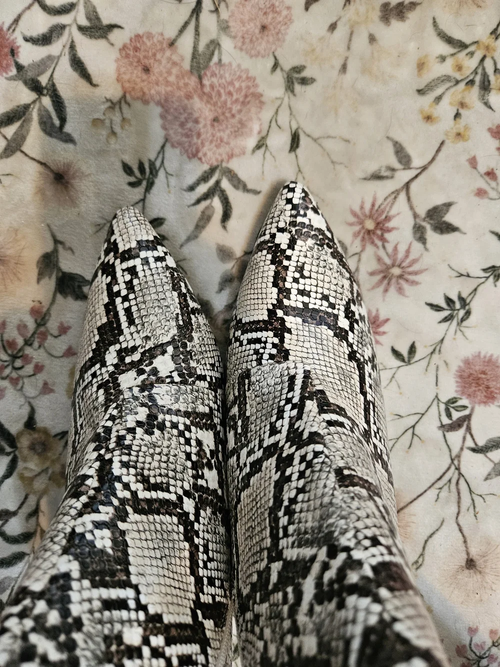 Sugar Black & White Snake-Print Pointed Ankle Boots